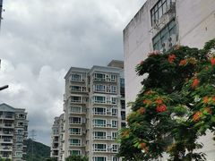 -壹只卤鹅·潮汕菜(莲塘店)