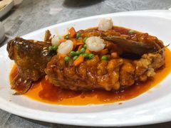 -老绍兴养和饭店(向阳不夜城店)