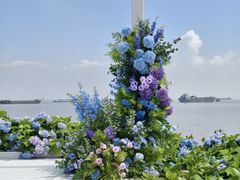 -上海滨江森林公园