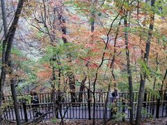 -天女山森林公园