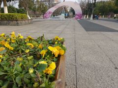 android_upload_pic-圩墩遗址公园