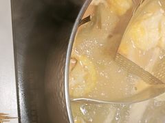 -椰子湾·海南火锅·糟粕醋·椰子鸡(正大广场店)