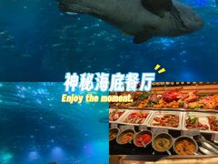 -海棠湾洲际-涛·海底餐厅·美人鱼·自助餐·海底隧道