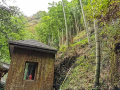 -藏龙百瀑风景区