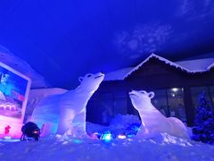 -世界之窗阿尔卑斯冰雪世界