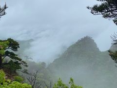 -大连天门山国家森林公园