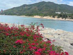 -三亚南山文化旅游区