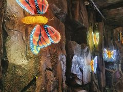-正佳雨林生态植物园
