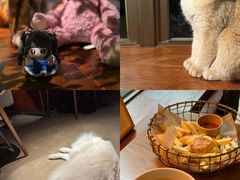 -咖法森林·咖啡  酒吧(天河店)