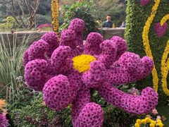 -杭州植物园