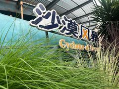 -成都欢乐谷