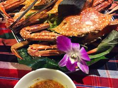-卷心菜和避孕套餐厅(Pattaya)