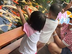 -聚福宝合苑食府(南头镇店)