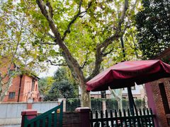 -花马天堂云南餐厅 Lost Heaven(高邮路店)