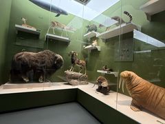 -国家自然博物馆