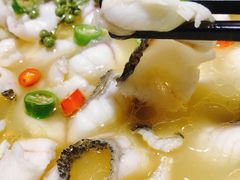 招牌青椒鱼-青花椒花椒鱼(合生汇店)