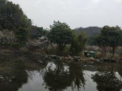 -白马涧龙池景区