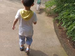 -合肥野生动物园