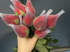 -安徽省第二人民医院(主院区)