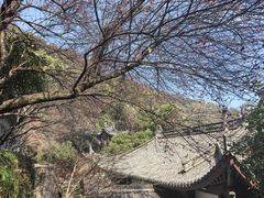 -灵顺寺