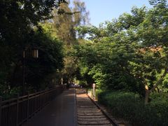-铁路文化公园
