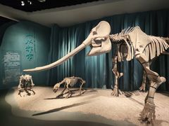 -重庆自然博物馆(新馆)