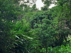 -福建鲤鱼洲酒店