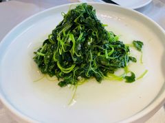 蒜蓉米苋-老人和饭店(淮海中路店)