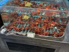 -湘轩·土菜研究院(光大店)
