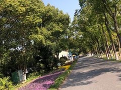 -嘉北郊野公园