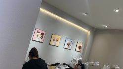 -洗脸猫·洗脸吧