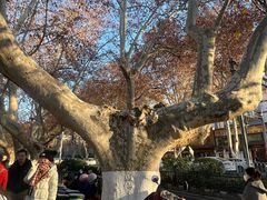 -南京维景国际大酒店(南京博物院店)