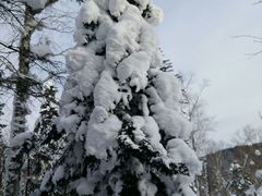 android_upload_pic-雪谷