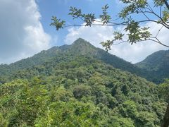 -南丹山森林王国