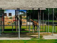 -西安秦岭野生动物园