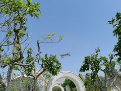 -百万葵园