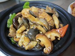 双菇面筋煲-胡子饮食店
