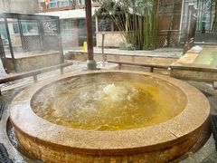 -春晖园度假酒店温泉