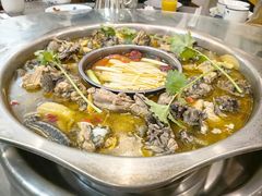 -黑河坝泡姜鸡贡椒鱼(贾旗路店)