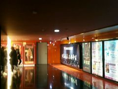 -美嘉欢乐影城(万象城店)