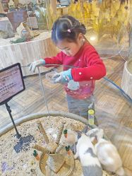 点击看大图 -卡通尼·Safari非洲探索乐园·生日会(金桥国际商业广场店)