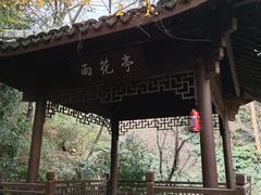 -杭州半山国家森林公园