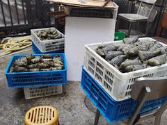 -金太粽(上海弄堂第一粽店)