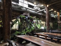 -绿光森林餐厅