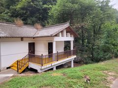 -小陇山国家森林公园桃花沟景区