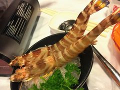 -鲜入围煮花胶鸡海鲜火锅