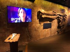 -迪拜水族馆及水下动物园