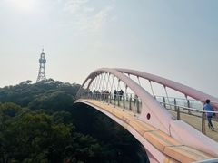 -金鸡山公园