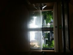 android_upload_pic-三亚湾红树林度假世界(木棉酒店)