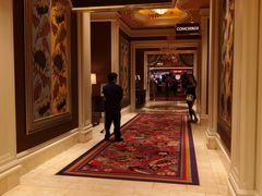 -拉斯维加斯永利酒店